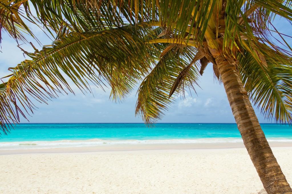 Caribbean sea