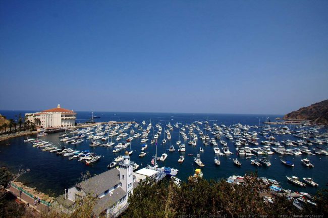 CATALINA ISLAND