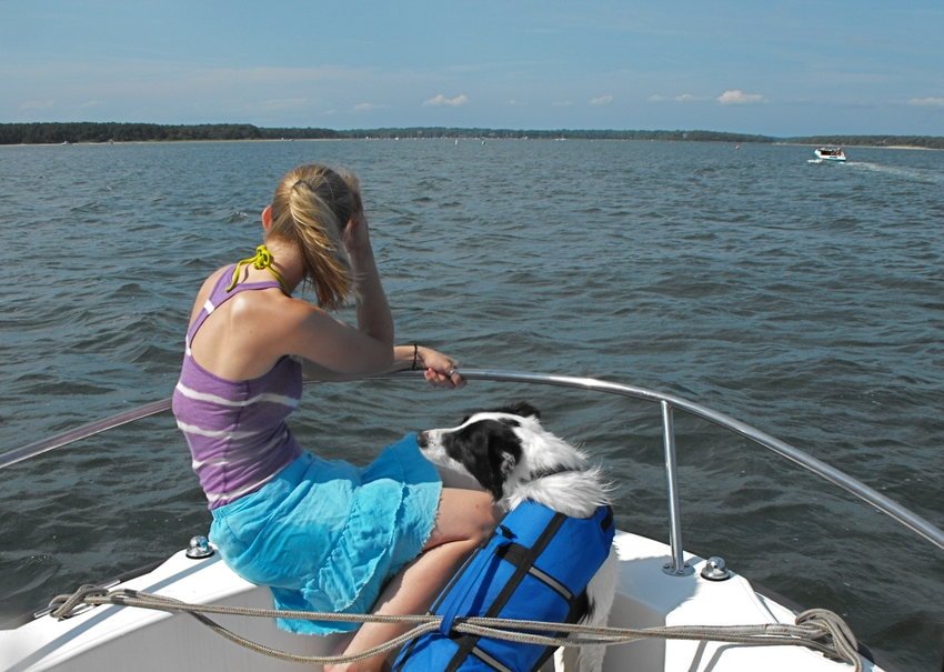 Life jacket for dog