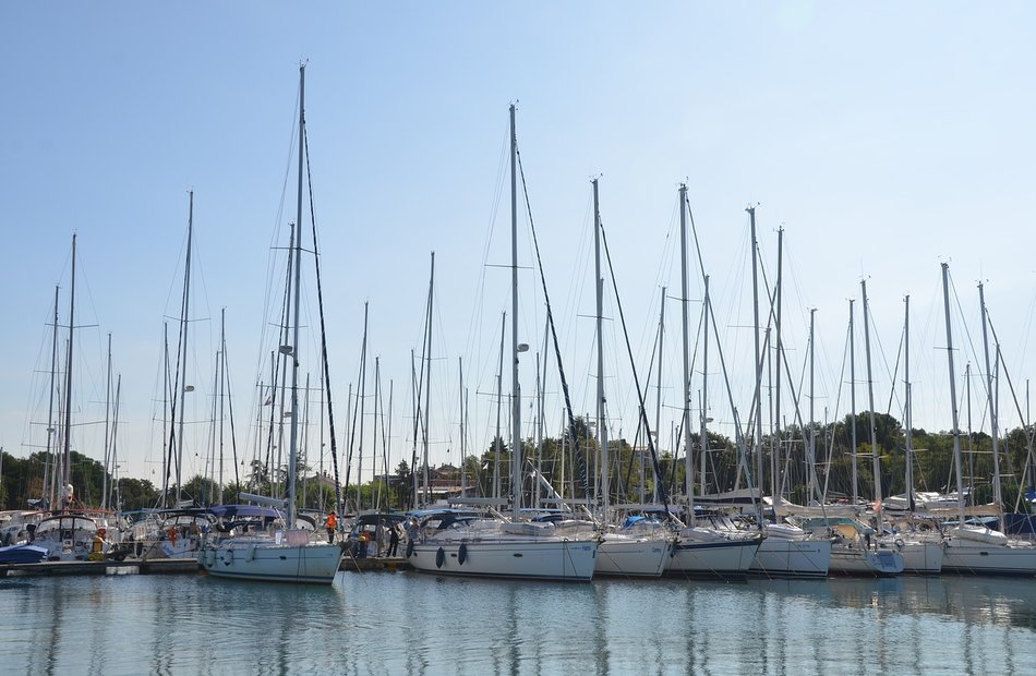 Boats in a marina