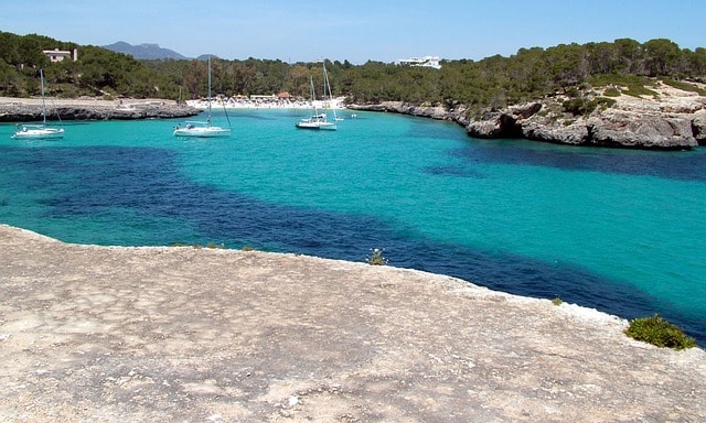 sailing boats on the water