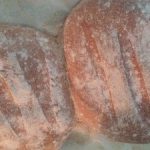 Two bread