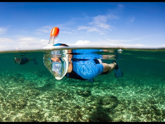 Easybreath snorkeling mask