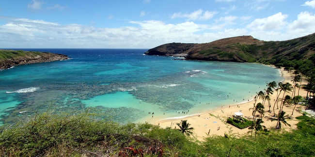 Snorkeling in Oahu