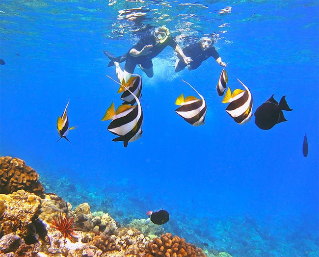 Mokoni snorkeling tour onboard the Calypso 