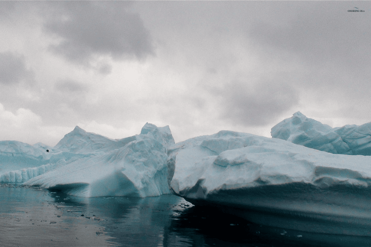 Drake Passage, Antarctica