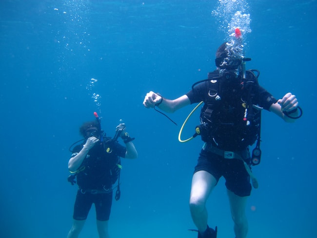 Diving Charter vacation