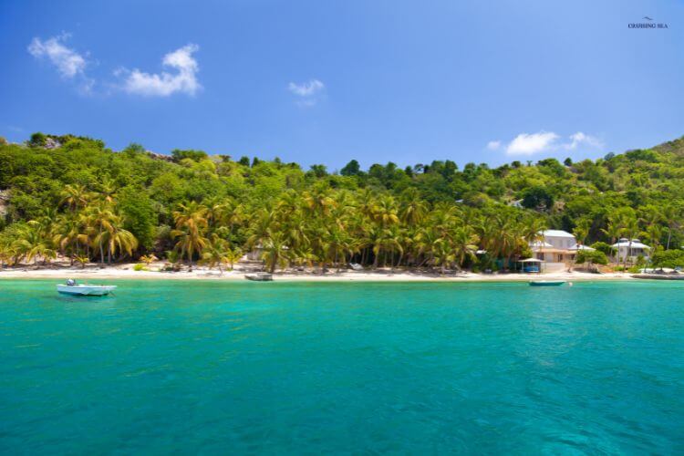 Cooper Island BVI sailing 
